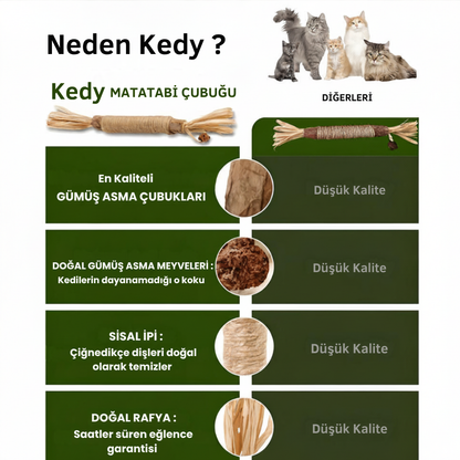 KEDY Doğal Matatabi Diş Bakım Çubukları