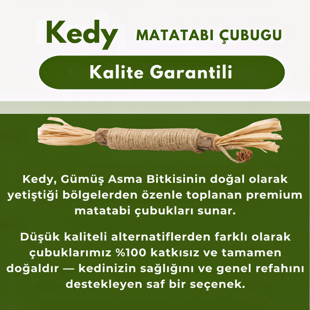 KEDY Doğal Matatabi Diş Bakım Çubukları