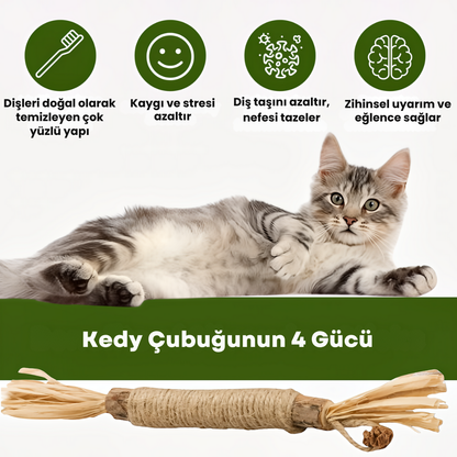 KEDY Doğal Matatabi Diş Bakım Çubukları