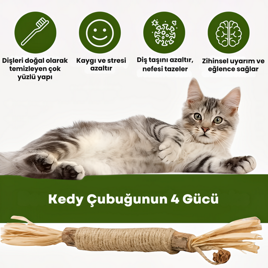KEDY Doğal Matatabi Diş Bakım Çubukları