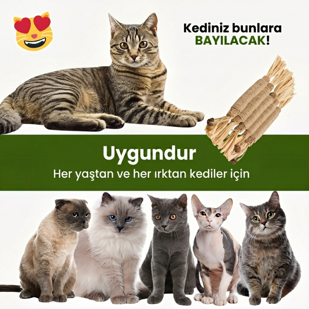 KEDY Doğal Matatabi Diş Bakım Çubukları