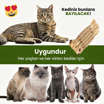 KEDY Doğal Matatabi Diş Bakım Çubukları