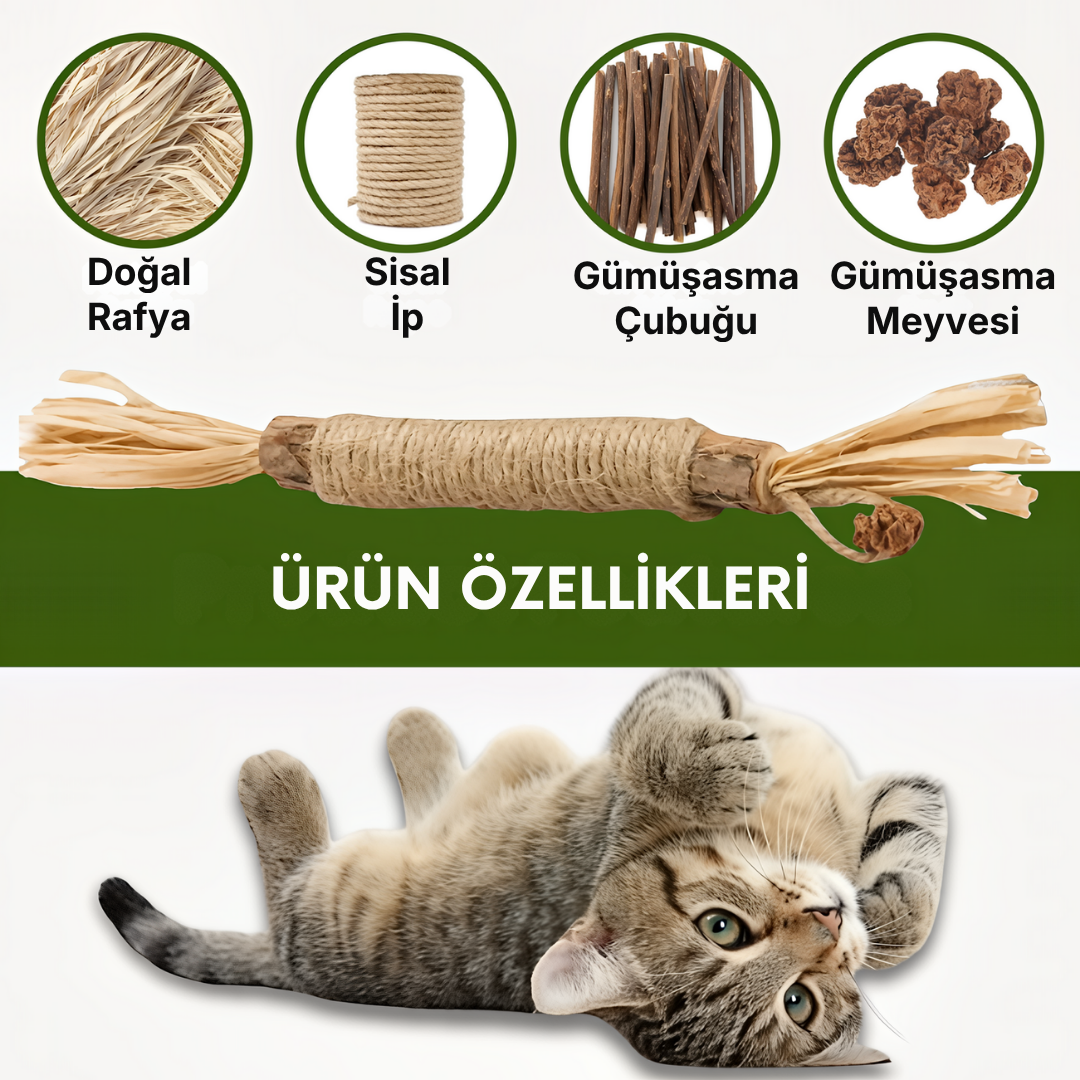 KEDY Doğal Matatabi Diş Bakım Çubukları